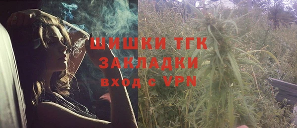 тгк Абаза