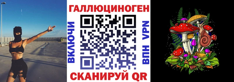купить   Чердынь  Галлюциногенные грибы GOLDEN TEACHER 